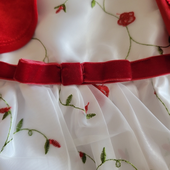 Infant Formal Dress - Picture 5 of 16